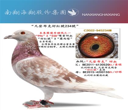 ���������˺üt̖(h��o)234̖(h��o)��