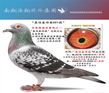 ����ѻ��ؠ�591̖(h��o)�����P(gu��n)�C��25��