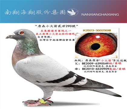 ��ղɭС����E��290̖(h��o)���_(t��i)���Ϻ�(li��n)�x��(hu��)��ِ