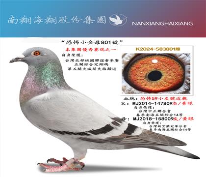 ���ֲ�С��ĸ801̖(h��o)�����P(gu��n)����w��