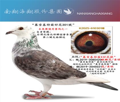 ����ѩ���ؠ��û�301̖(h��o)���_(t��i)����������(li��n)�x��(hu��)��ِ