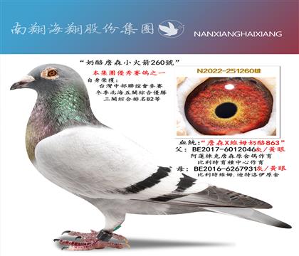 ������ղɭС���260̖(h��o)�����P(gu��n)�C��82��