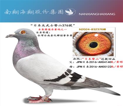 ���ձ�����ʿ��(sh��)ɽ376̖(h��o)���_(t��i)���_(t��i)��(li��n)�x��(hu��)��ِ