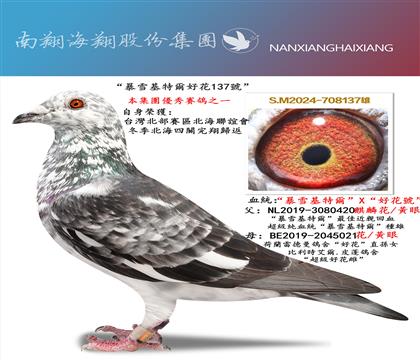 ����ѩ���ؠ��û�137̖(h��o)���_(t��i)����������(li��n)�x��(hu��)