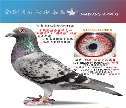 �����W����(j��)�_����131̖(h��o)�����P(gu��n)�C�σ�(y��u)��