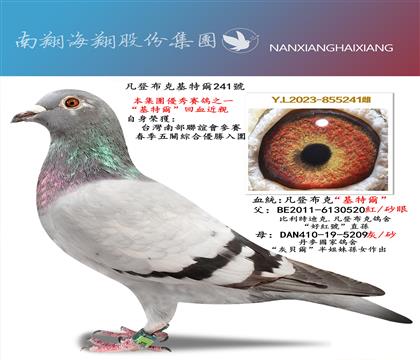 �����ǲ��˻��ؠ�241̖(h��o)���_(t��i)���ϲ�(li��n)�x��(hu��)��ِ