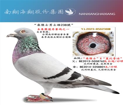 ��ɣ��ʿ��ʿ��238̖(h��o)��