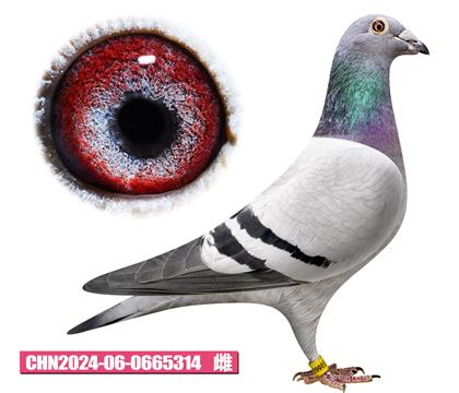 ������-�W��ƥ�˼���314