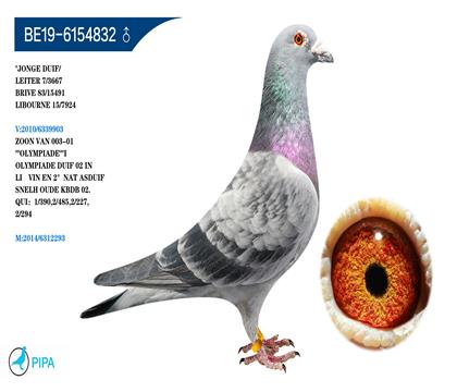 ������ƥ��003����� �����ɼ���3667��7λ