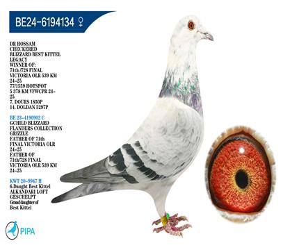 �����ض���ѩ��������Ѫ �����ٻ�5297��14λ