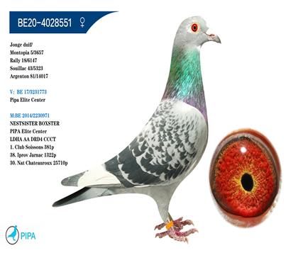 PIPAݼӢ�������֡���ʱ��911�� �����ɼ�3657��5λ