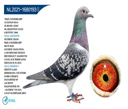 ���ǿ��ո��ӡ����Ẻ˹�� �����ɼ�5064��8λ