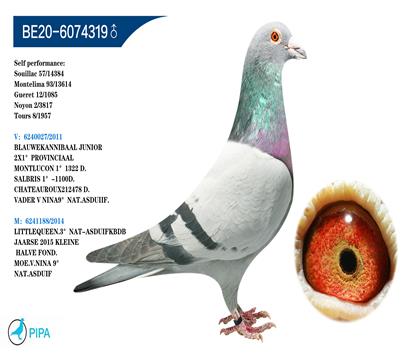 �Ͽ�.������ԭ�� �����ɼ�3817���Ǿ�