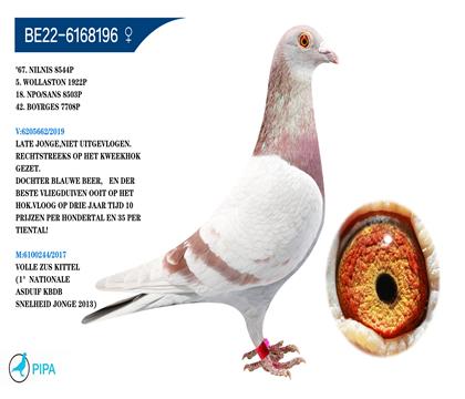 �Ͽ�.���ǲ���ԭ�� ���û��š���� �����ɼ�5261�𼾾�