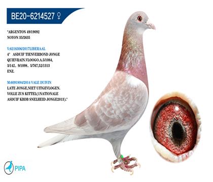 �Ͽ�.���ǲ���ԭ�ᡰ���ض���X�ú�š���Ѫ