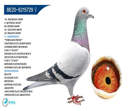 �����ǡ�������ԭ�� ��������ԣ���� �����ٻ�2613��5λ