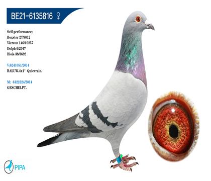 ������X˹�Ͽ�˹-����˹ԭ��