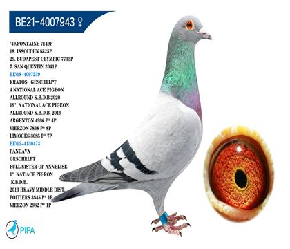 ���׵�.��ϣ�ֵ� �����ٻ�8525��18��