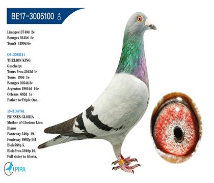 �Ǳ�-�����Ǳ�ԭ�᱾���ɼ�12740���Ǿ�