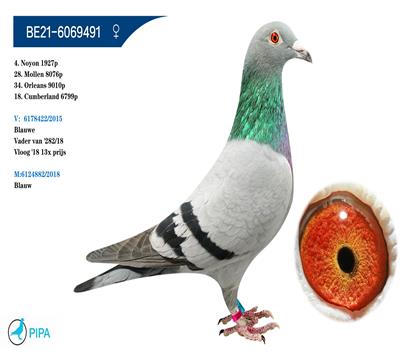 ������ԭ�ᡱ�������X������ֱ��Ů��