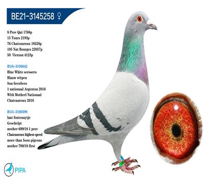 �Ұ���������X�����������