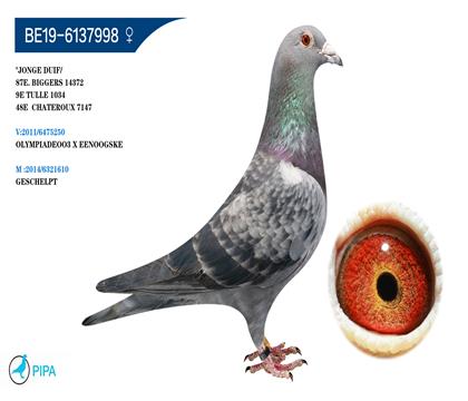 ���ºն���˹ԭ�ᡰ����