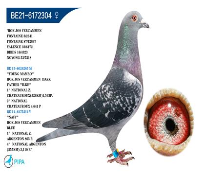 ��˹.����ԭ�ᡰҰ���š���� �����ɼ�2641�𼾾�