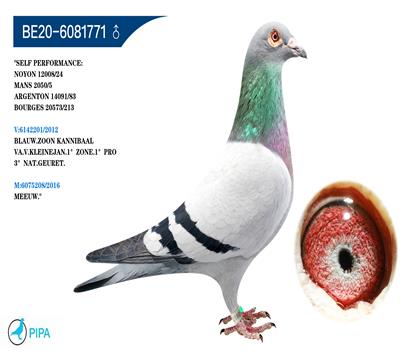 �����޵�Ѫϵ �����ɼ� 12008��24λ