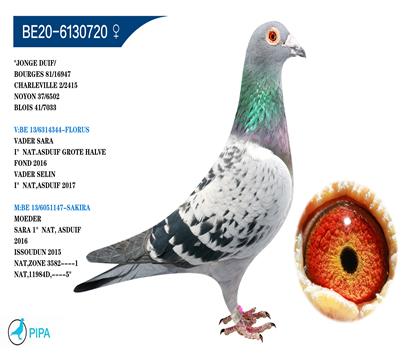 ����������˹ԭ��Ǫ��ȫƽ�� �����ɼ�2415���Ǿ�