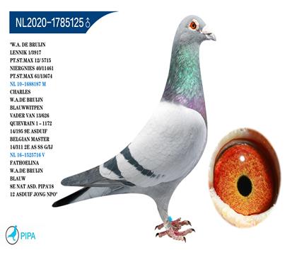 ����.�ϲ���ԭ�� ����������3917��ھ�