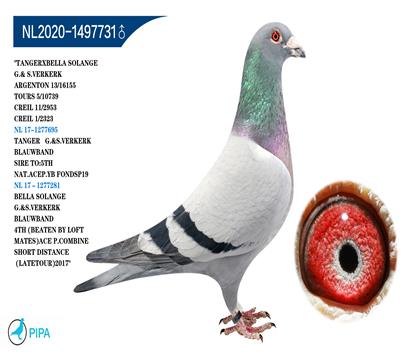 �ֿ˸��� ���Ƹ�X������������ �����ɼ� 2323��ھ�