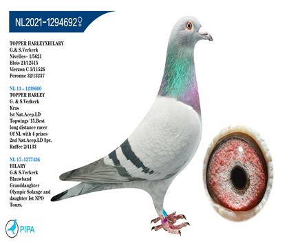 �ֿ˸���ԭ�� �����ٻ�5621��ھ�