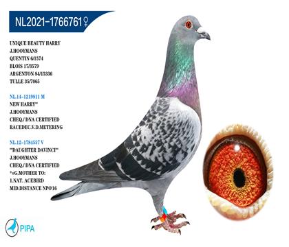 ��.����˹ԭ�ᡰ�ر��¹����� �����ɼ�7065��35λ