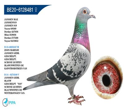 ղɭ���˹��Ѫ �����ɼ�8560��8λ