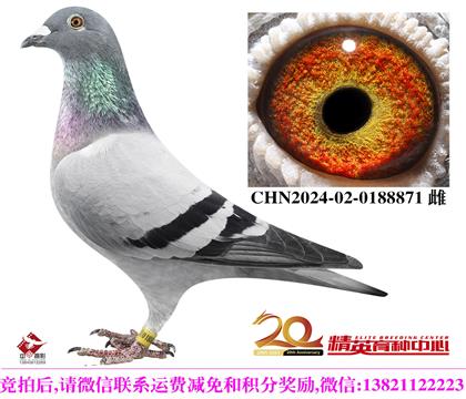 ���ҡ�098��ֱ���䡱240��ֱŮ