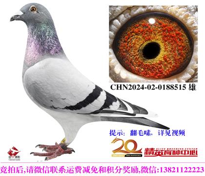 Ӣ��˹�������롱178��ֱ��