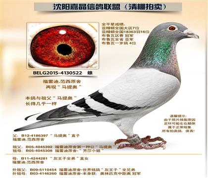 ���׵�ԭ��-����������¡�