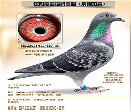 ����.�ն���˹-��88�����ס�