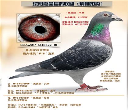 ������-���𡰱�����2�ιھ���