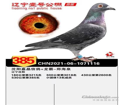 �ڰ���������21����ƽ��