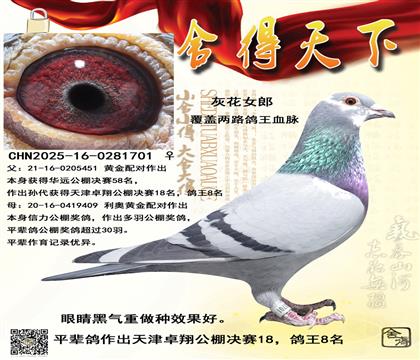 ׿�蹫�����18����