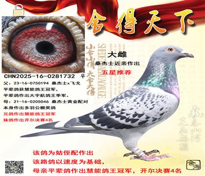 ɣ��ʿ��������