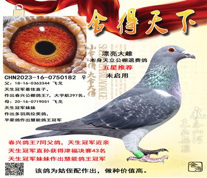 �����ھ���ֶ��