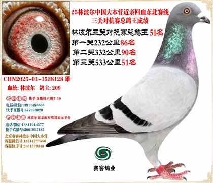 25�ֲ����й���Ӫ���׻�Ѫ�������������ܸ���51��