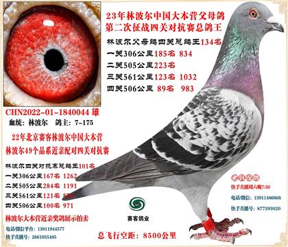 22�ֲ����Ĺ��ܸ���101��23������ս�Ĺ��ܸ���134��