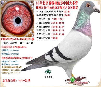 23�ֲ����й���Ӫ���׻�Ѫ���ظ���127��ͬ��6��120��