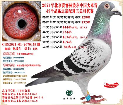 21�ֲ����й���Ӫ���׻�Ѫ����ܸ���128��ƽ��21����8