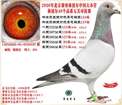 2020�ֲ����й���Ӫ���׻�Ѫ����ܸ���124��