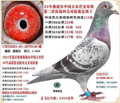 21��������ܸ���140��23�����Ĺ��ܸ���113��