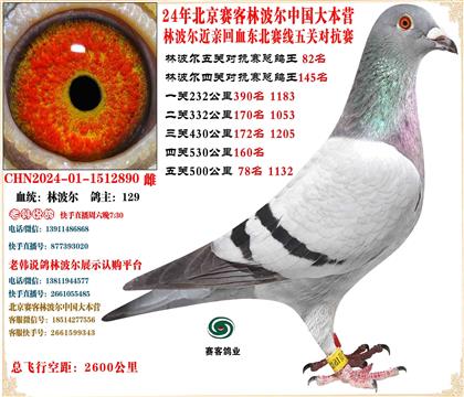 21�ֲ�����Ѫ����ܸ���94��ƽ��17���ܵ��18����58��